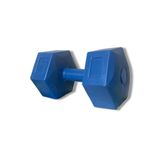 Voit Maxfit Vinly Dumbell/5K Unisex Dambıl Renkli 5