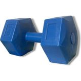 Voit Maxfit Vinly Dumbell/5k Unisex Dambıl - Renkli