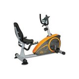 Voit R-60 Bronze Collection Yatay Bisiklet 120 kg Taşıma Kapasitesi ile 8 Kademe Ayarlanabilir Direnç 1VTBSR60/D 1VTBSR60/D