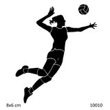 Voleybol Smaç Yapışkanlı Stencil Süsleme Ve Boyama Kalıbı