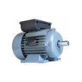 Volt Elektrik Motoru 0,75 Kw 2p 3000 D/d Mon. Kompakt 80 Göv. (VOLV2SS80M2CB301YY)