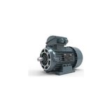 Volt Elektrik Motoru 0,75 Kw 4p 1500 D/d Trf. 80 2/4V Ie3 Yy B34 (VOLV3EA80M4IB3440YY)