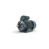 Volt Elektrik Motoru 1,1 Kw 4p 1500 D/d Trf. 90 2/4V Ie3 Yy B34 (VOLV3EA90S4CB3440YY)