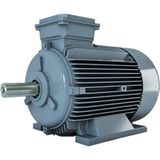 Volt Motor V2SS 100 L2A 3 Kw 3000 D 220 V Monofaze Elektrik Motoru