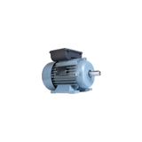 Volt Motor V2SS 80 M2D 0,55 Kw 3000 D 220 V Monofaze Elektrik Motoru
