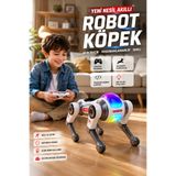 VOOKA Akıllı Robot Köpek Uzaktan Kumandalı Programlanabilir Akrobatik Takla Atan Zıplayan Işıklı Sesli Robot Oyuncak