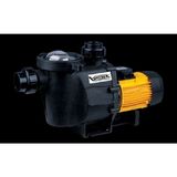 Vortex Grln - 1000 M 1 Hp DN40 Çıkışlı Ön Filtreli Havuz Pompası