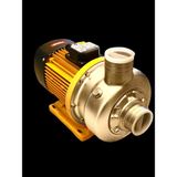 Vortex Vo 350 - 20 T 2 Hp 2''-2'' Aısı 316 Çelik Vortex Fanlı Santrifuj Pompa (-5+100°C)