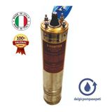 Vortex VRT-1000 Dalgıç Motoru
