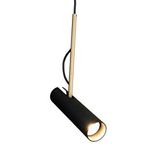 Voxlamp Candid Sarkıt Mafsallı Lamba 25cm 5watt Siyah Gövde, Gold Tij, Siyah Kablo ve Siyah Tavan Bağlantı Rozans