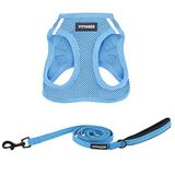 Voyager Step-in Air All Weather File Kablo Demeti ve Yansıtıcı Köpek 1,5 m Neopren Saplı Tasma Kombo Best Pet Supplies tarafından Küçük, Orta ve Büyük Irk Yavrular için - Tasma Koşum Takımı (Bebek