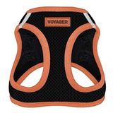Voyager Step-in Air Dog Koşum Takımı - Best Pet Supplies tarafından Küçük ve Orta Boy Köpekler için Tüm Hava Koşullarına Uygun Örgü Yelek Koşum Takımı - Turuncu Kesim, XS