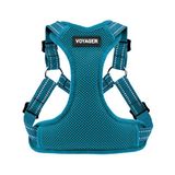 Voyager Step-in Flex köpek tasması – her hava koşuluna uygun file, küçük ve orta büyüklükteki köpekler için ayarlanabilir yemek takımı – turkuaz, küçük