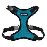 Voyager Step-in Lock Evcil Hayvan Koşumu - Tüm Hava Koşullarına Uygun File, En İyi Evcil Hayvan Malzemelerinden Kedi ve Köpekler için Koşum Takımında Ayarlanabilir Adım - Turkuaz/Siyah Kesim, L