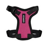 Voyager Step-in Lock Pet Koşum Takımı - Tüm Hava Örgüsü, Best Pet Supplies tarafından Kediler ve Köpekler için Koşumda Ayarlanabilir Adım - Fuşya/Siyah Döşeme, XXXS