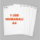 VTN 1'den 300'E Numaralı A4 Kağıt - Copier Bond 80 gr - Renkli