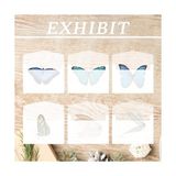 Vuralsin38 Selofan Zarf Cellophane Envelope, 100 Adet 7X10 cm Şeffaf Kağıt, Glazin Koleksiyon Malzemeleri, Madeni Para ve Pul ile Tohum Paketi Için Küçük Zarflar, Düğün Hediyesi Saklama Çantası - 0-Koyu Mavi - Option-1