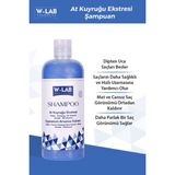 W-LAB Cosmetics At Kuyruğu Ekstresi Onarıcı Şampuan 500 ml – Doğal Bitki Özlü, Parlak ve Sağlıklı Saçlar İçin, Tüm Saç Tiplerine Uygun
