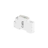 W Otomat Tipi Zaman Saati Ct-9184 HSPLİNM-5121