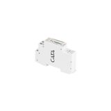 W Otomat Zaman Saati Ct-9184 HSPLİNM-5931