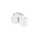 W Otomat Zaman Saati Ct-9184 HSPLİNM-5967