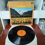 Wadi El Safi – Gibalna - 1977 Ortadoğu Kayıt Yunanistan Basım Albüm - 33 Lük Lp Plak