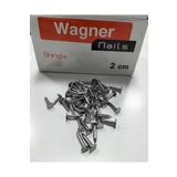 Wagner Şıngıl Çivisi Shingle Çivi Çatı Membran Çivi 2 Cm 500gr