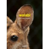 Walabi