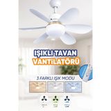 Waldern Tavan Vantilatörü