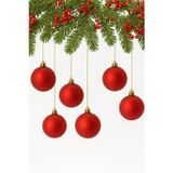 Waldern Yılbaşı Çam Ağacı Süsü Mat 6 Cm 6lı Cicitop