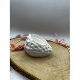 Wammolds Çilek Saksı