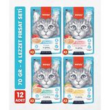 Wanpy 12LI Karışık Yetişkin Kedi Yaş Maması 4 Lezzet Premium Kalite 12 x 70 gr Tahılsız - 12 ADET