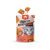 Wanpy Crunch Somonlu 60 gr Kedi Ödül Maması
