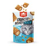 Wanpy Crunchy Pockets Tavuklu Kedi Ödül Maması 60gr