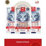 Wanpy Digestive Health - Sindirim Destekleyici Somon Balık & Tavuk Kedi Krema Ödül Maması Seti 3 adet - 5x14 gr - 5X 14 gr