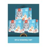 Wanpy Lickable Cream Somonlu Kedi Ödül Maması 30x16 gr