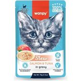 Wanpy Pouch Ton Balıklı Somonlu Yaş Kedi Maması 70G