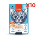 Wanpy Stew Pouch Ton Balıklı Somonlu Yaş Kedi Maması 70G 10'lu Paket