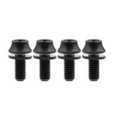 Wanyifa Titanyum M5x12 mm Pullu Bisiklet Su Şişesi Kafesi Altıgen Cıvatalar 4'lü Paket (Siyah)