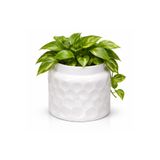 Warm Design Iki Ton Beyaz Cam Mum Vazo Modern Salon Konsol Sehpa Dekoru Beyaz