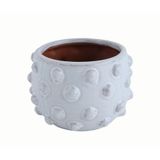 Warm Design Noktalı Terracotta Saksı