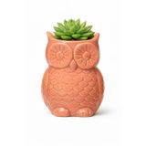 Warm Design Pembe Mıknatıslı Mini Baykuş Saksı Retro Salon Konsol Raf Ofis Dekoru Pembe 7 x 10