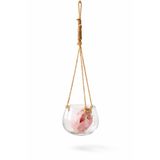 Warm Design Şeffaf Jüt İpli Cam Asma Saksı Boho Salon Ofis Balkon Dekoru Şeffaf