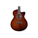 Washburn EA55G Festival Elektro Akustik Gitar (Profesyonel - Sahne Serisi) | İnce Kasa Tasarımı, Ge