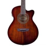 Washburn EA55G Festival Elektro Akustik Gitar (Profesyonel - Sahne Serisi) | Ince Kasa Tasarımı, Geri Besleme (Feedback) Önleyici Gövde Yapısı, Aktif Ekolayzer | Ölçüler: 648 mm Skala Uzunluğu