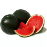 Washınton Karpuz Tohumu 10 Gr 1 Adet