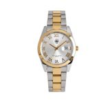 Watch Of Royal Aqualis Silver Gold Çelik Kol Saati