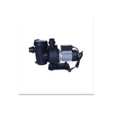 Waterfun Senkron-1 0,75 Hp 220 Volt Havuz Pompası/1 0.75 Hp 220 Volt Pool Pump - Lions Pool
