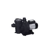Waterfun Senkron 1 Hp Monofaze Havuz Pompası