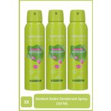 Watsons Verdant Deodorant Sprey Pudrasız 3x150ml